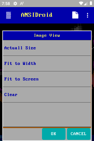 Image Size Options